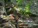 climbing_0024